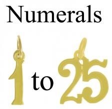 14k Gold Numeral Pendant 